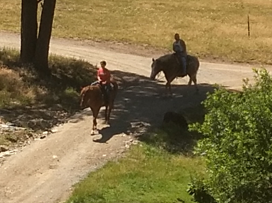 Bonito Stables-鲁伊多索必去景点