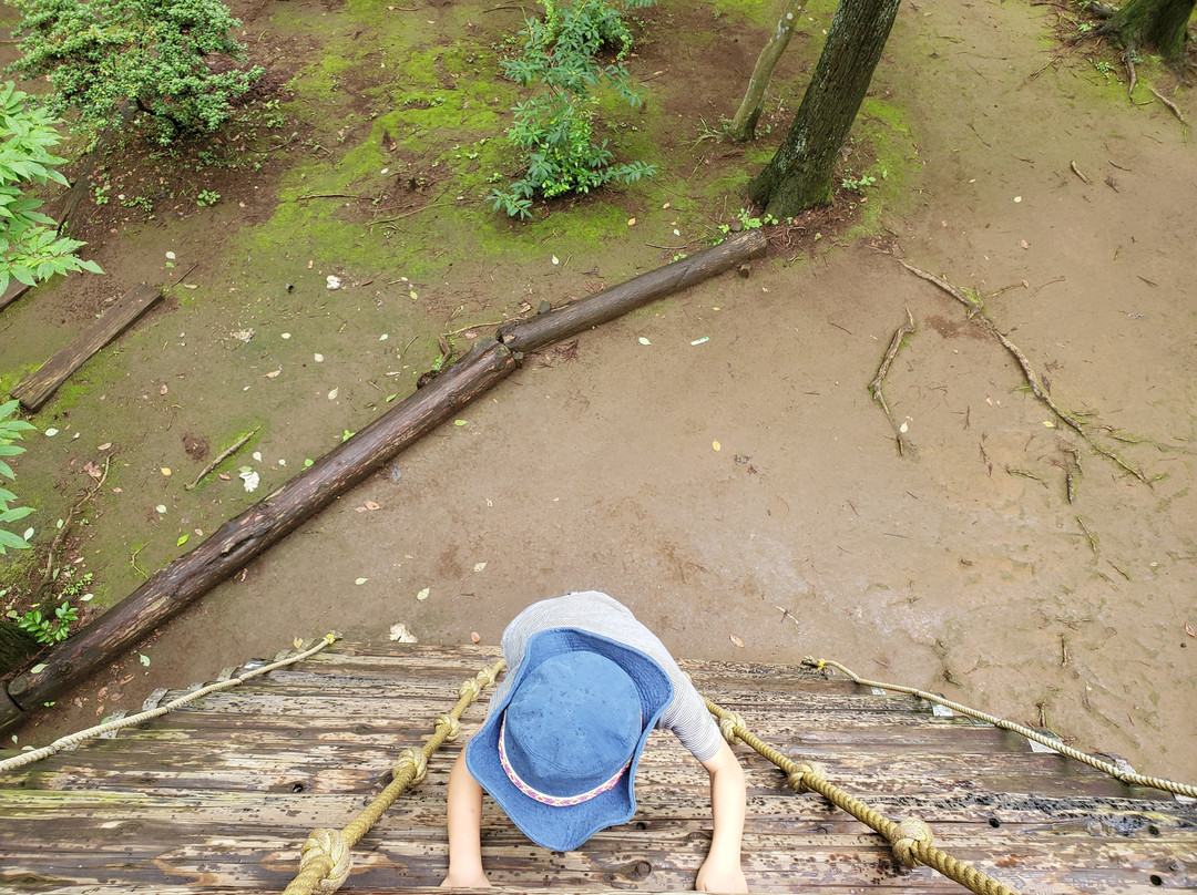 Arinomi Course-市川市必去景点