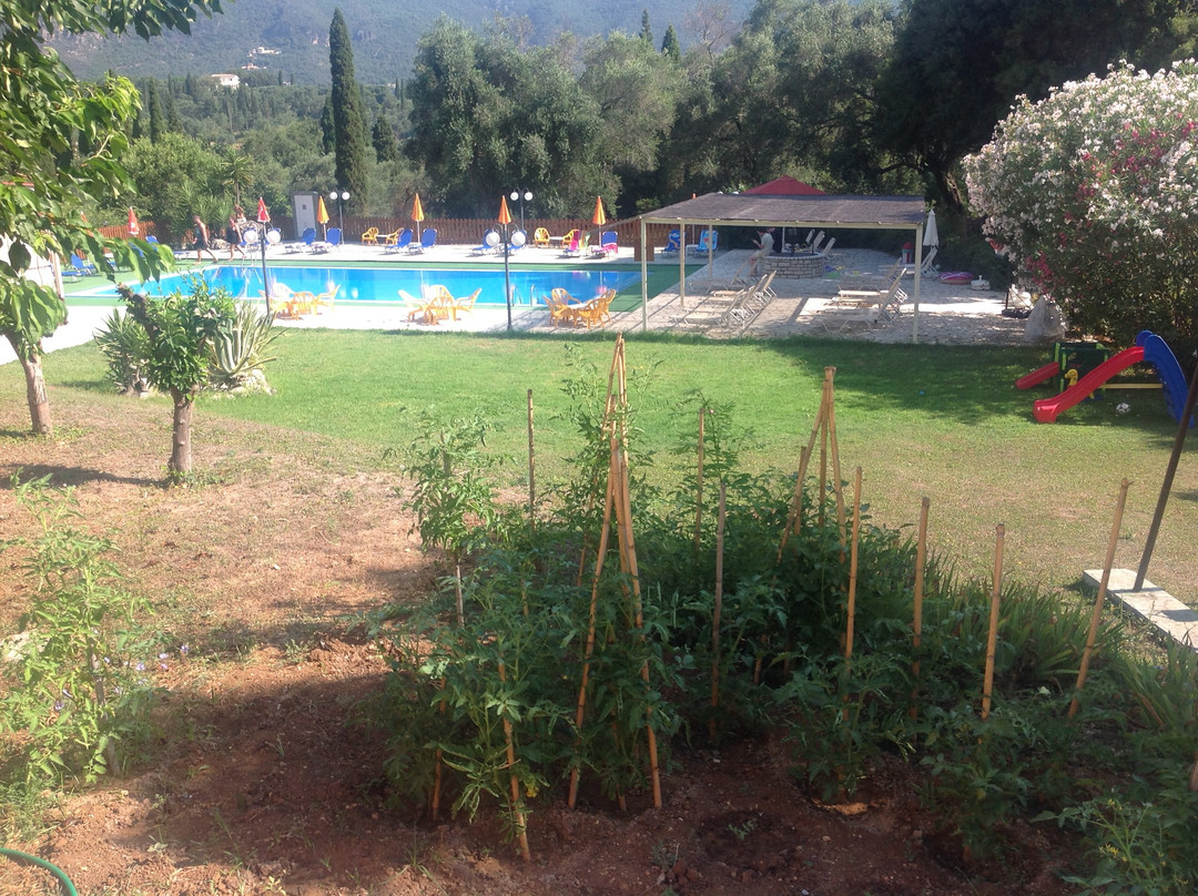 Margarita Apartments主图