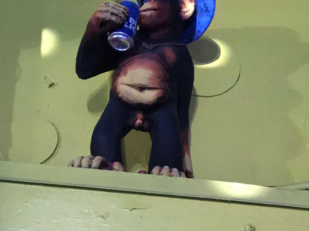 Sugar Shack-罗克波特必去景点