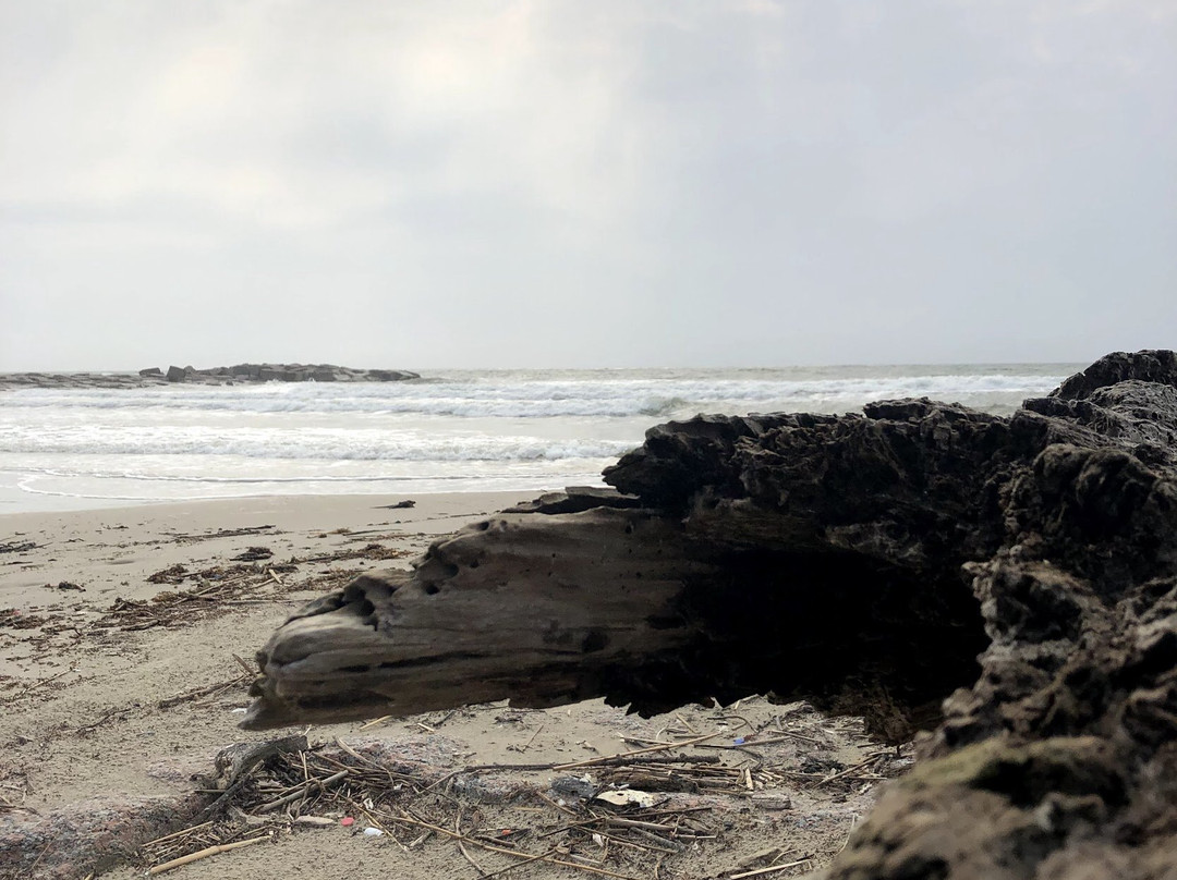 Mustang Island State Park景点图片
