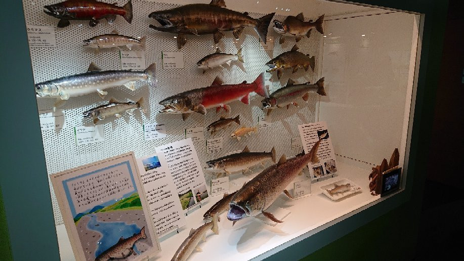 Tamarokuto Science Center-西东京市必去景点