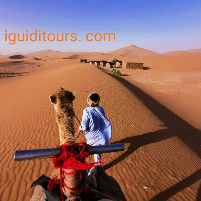 Iguidi Tours-迈哈米德必去景点