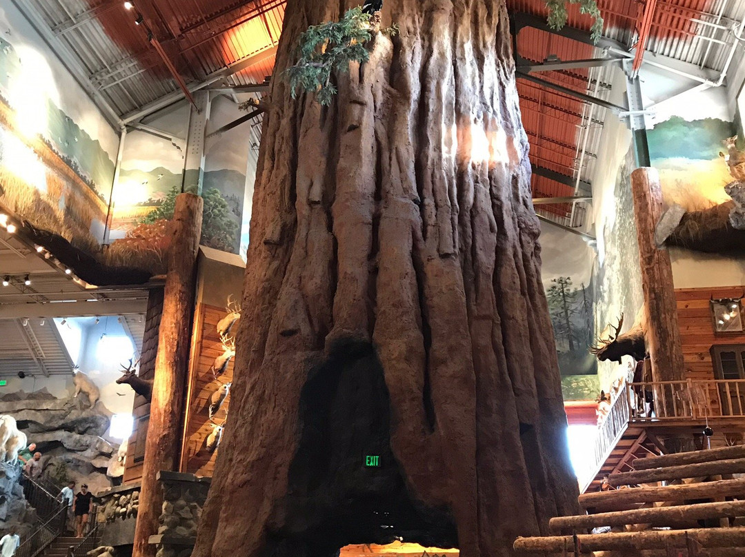 Bass Pro Shops-曼特卡必去景点