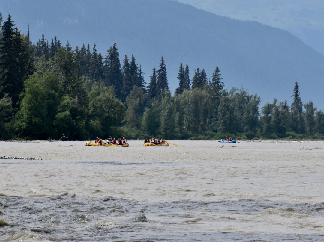 Chilkat Bald Eagle Preserve景点图片