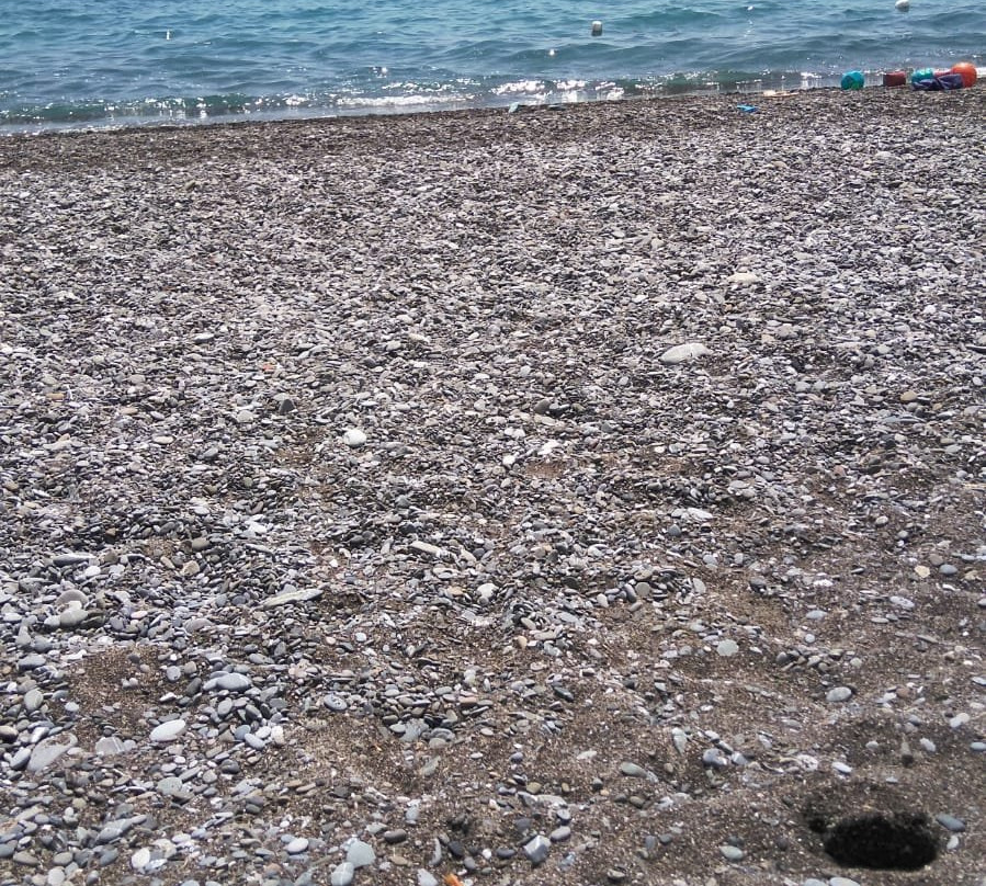 Camping Residence Oliveto主图