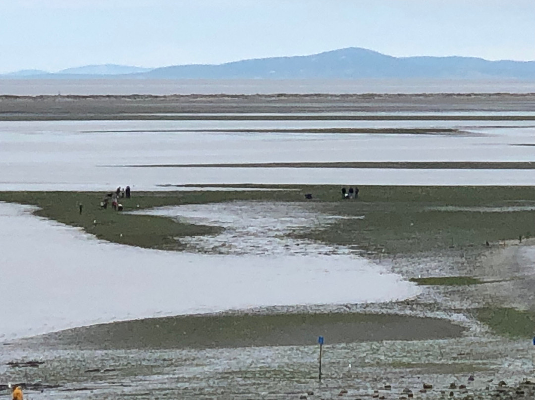 Cline Spit County Park景点图片