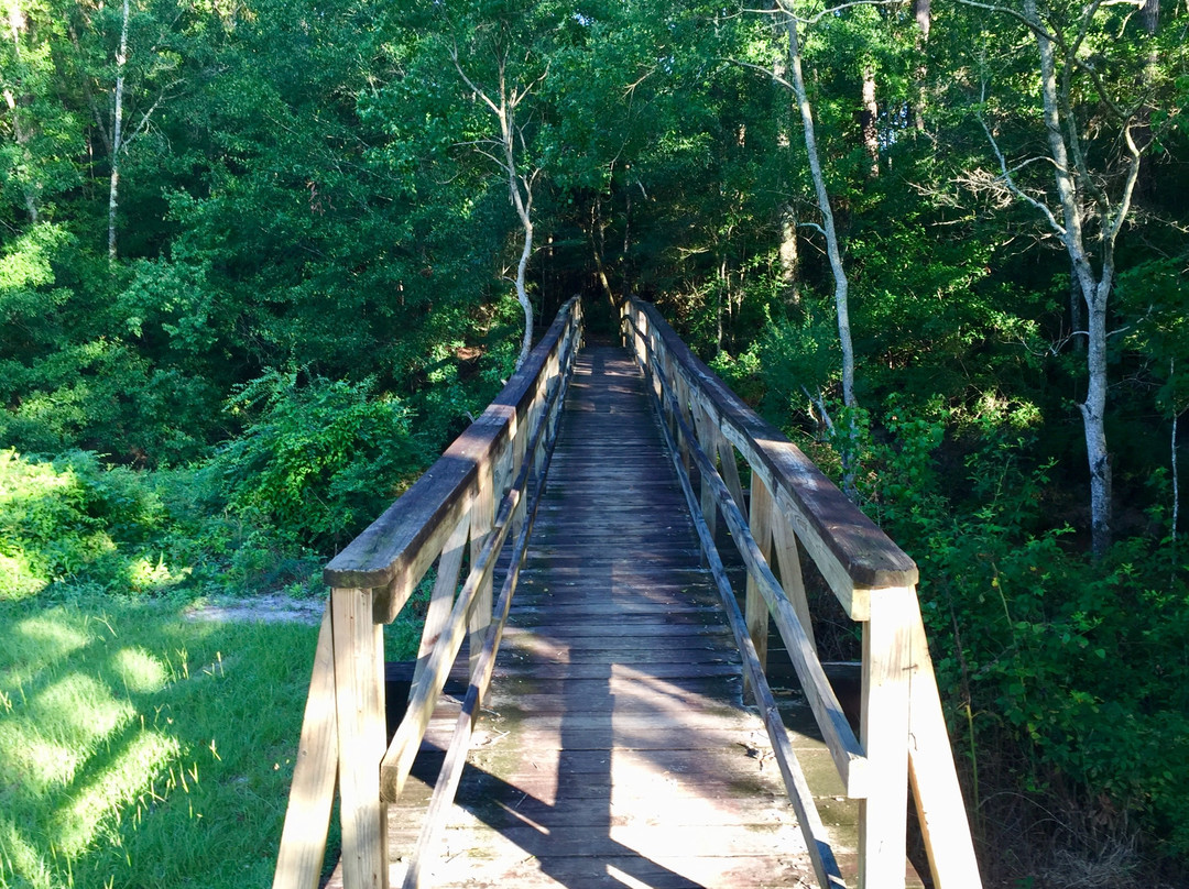 Abita Springs Park Playground-Abita Springs必去景点