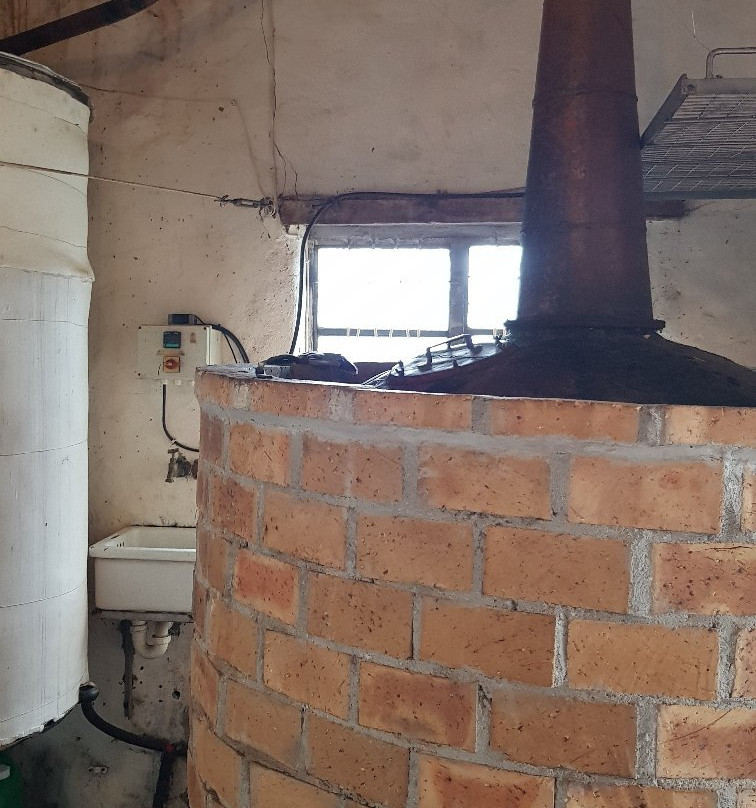 Upland Organic Wine-惠灵顿必去景点