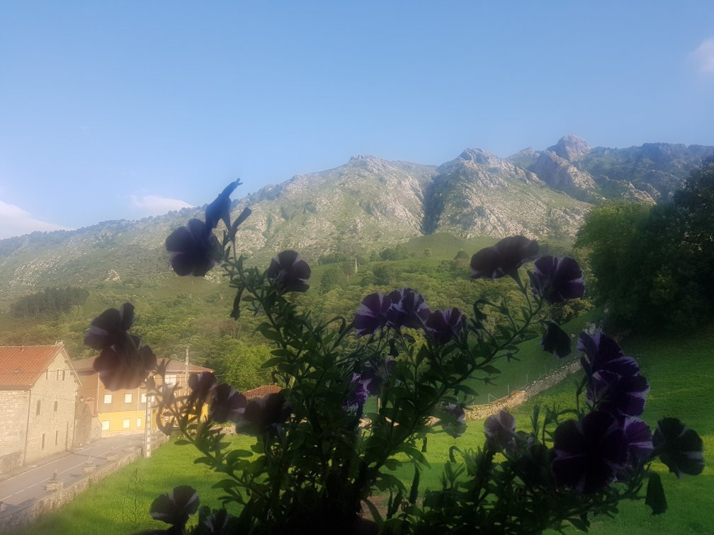 Las Arenas旅游攻略图片