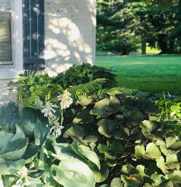 Catskill Animal Sanctuary主图