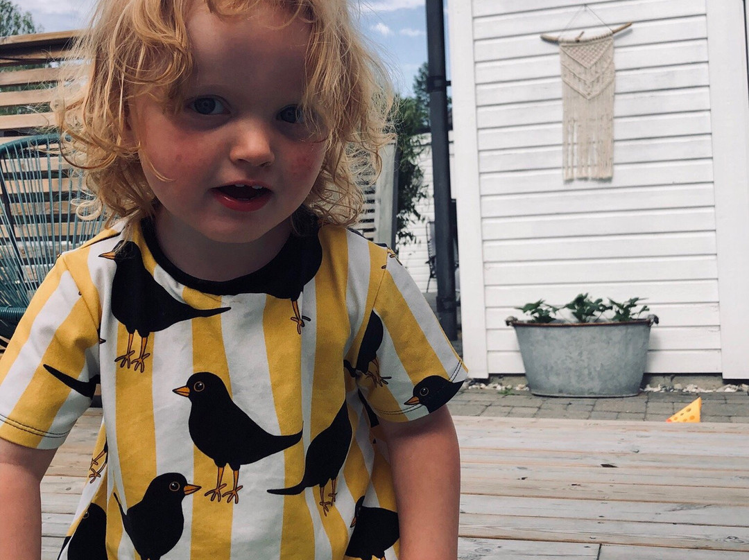 Butik baraKlara-Forsa必去景点