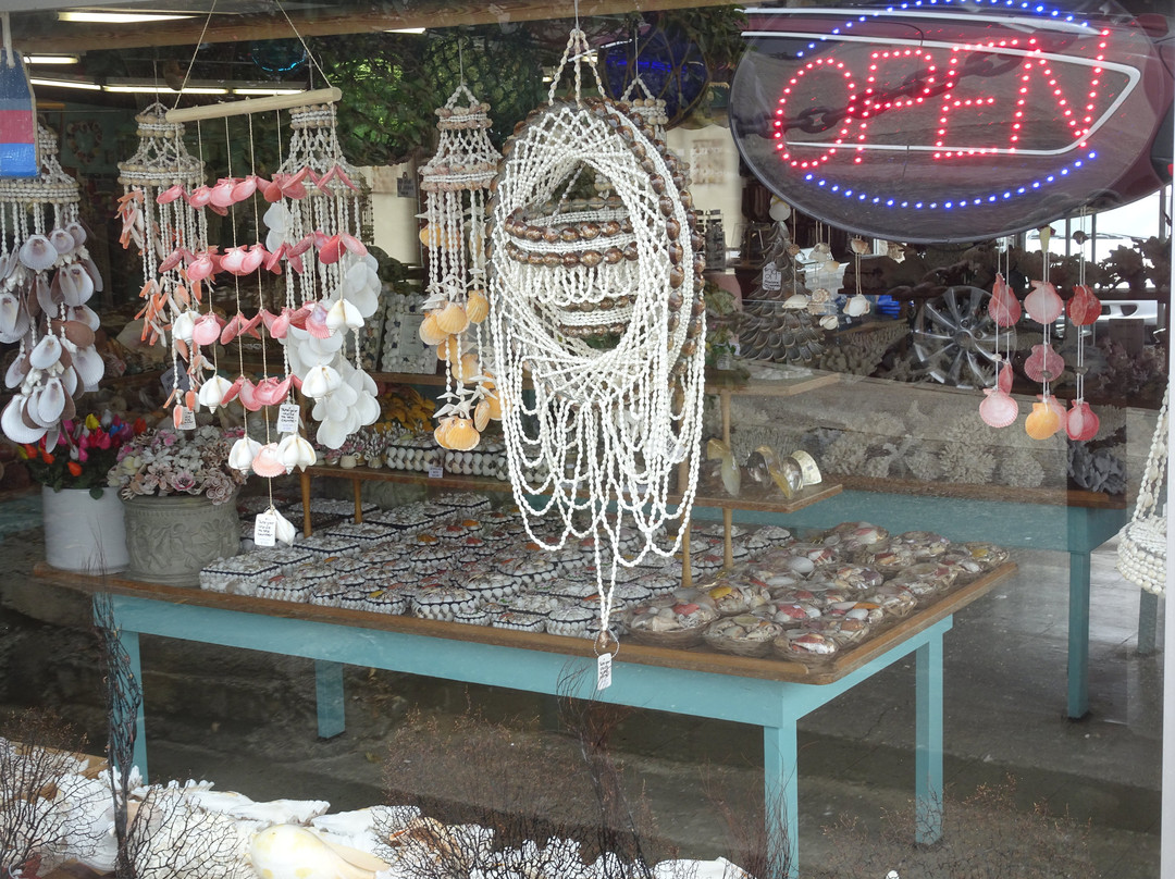 The Shell Shop-莫罗贝必去景点