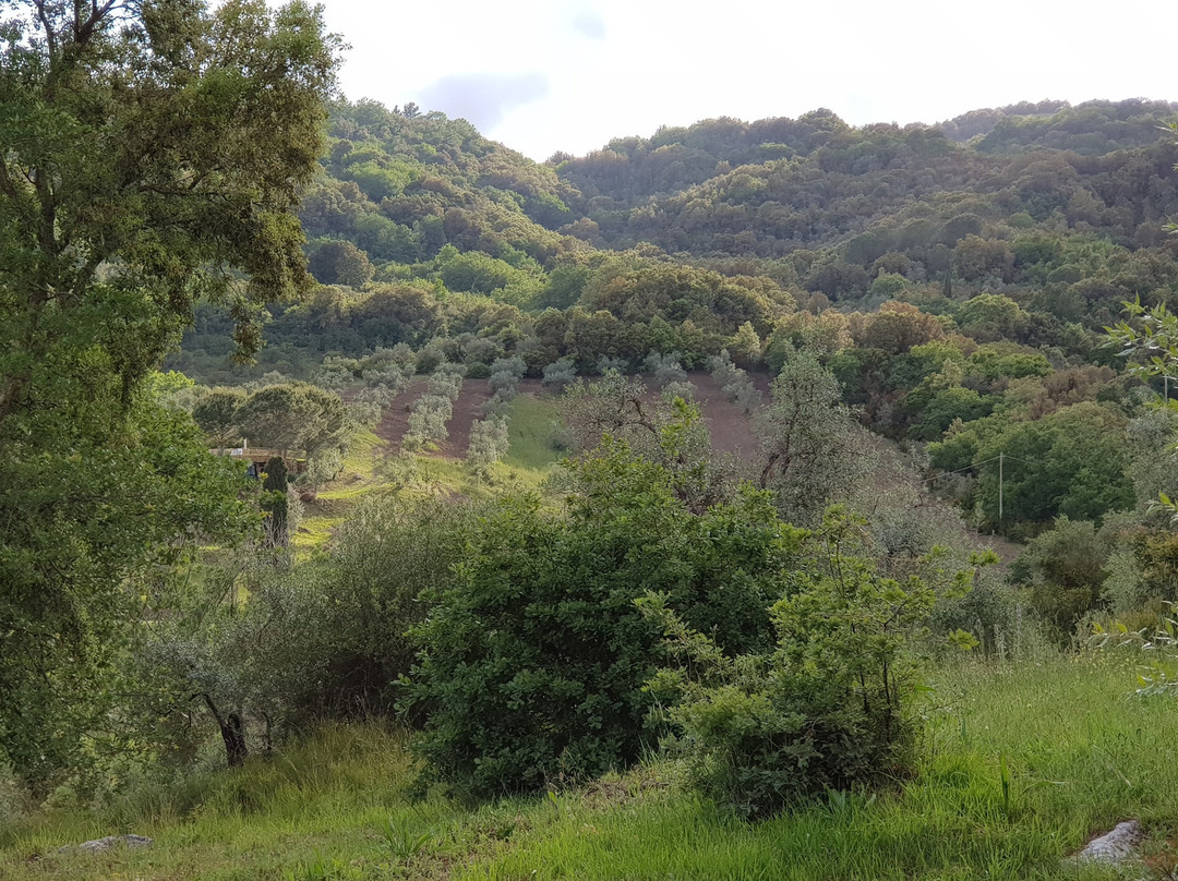 Agriturismo Poggio Diavolino主图