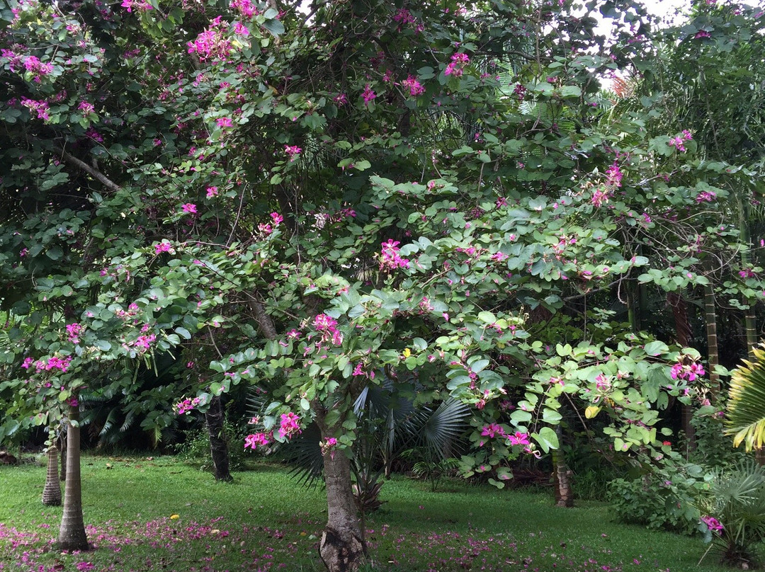 Lezard Home Guesthouse主图