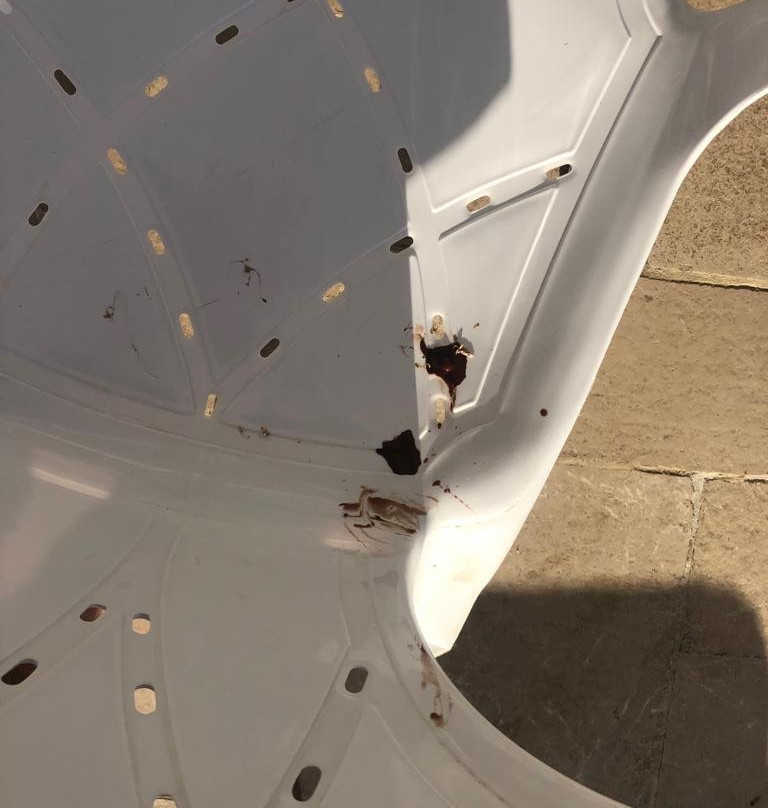 丹尼尔荷兹利亚酒店主图