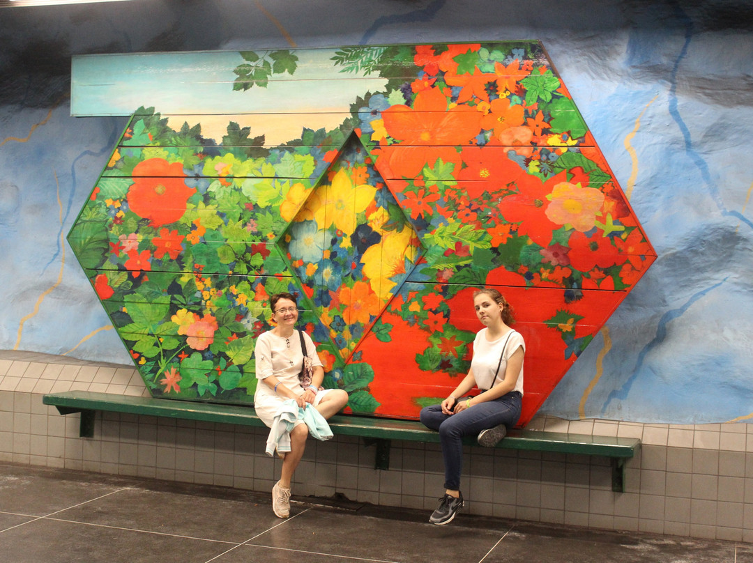 Guided Art Tours in the Stockholm Metro景点图片