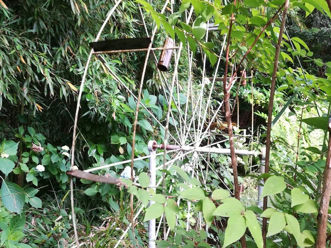 Parc du Sarrat-达克斯必去景点