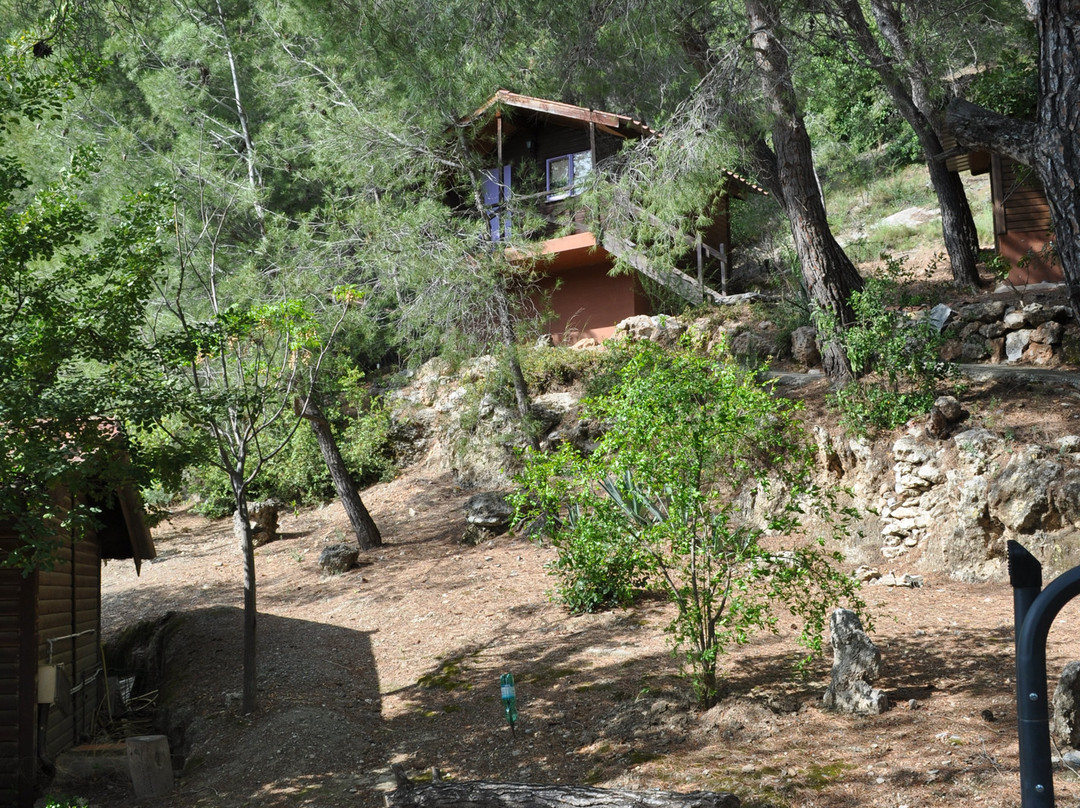 Finca Los Pinos主图