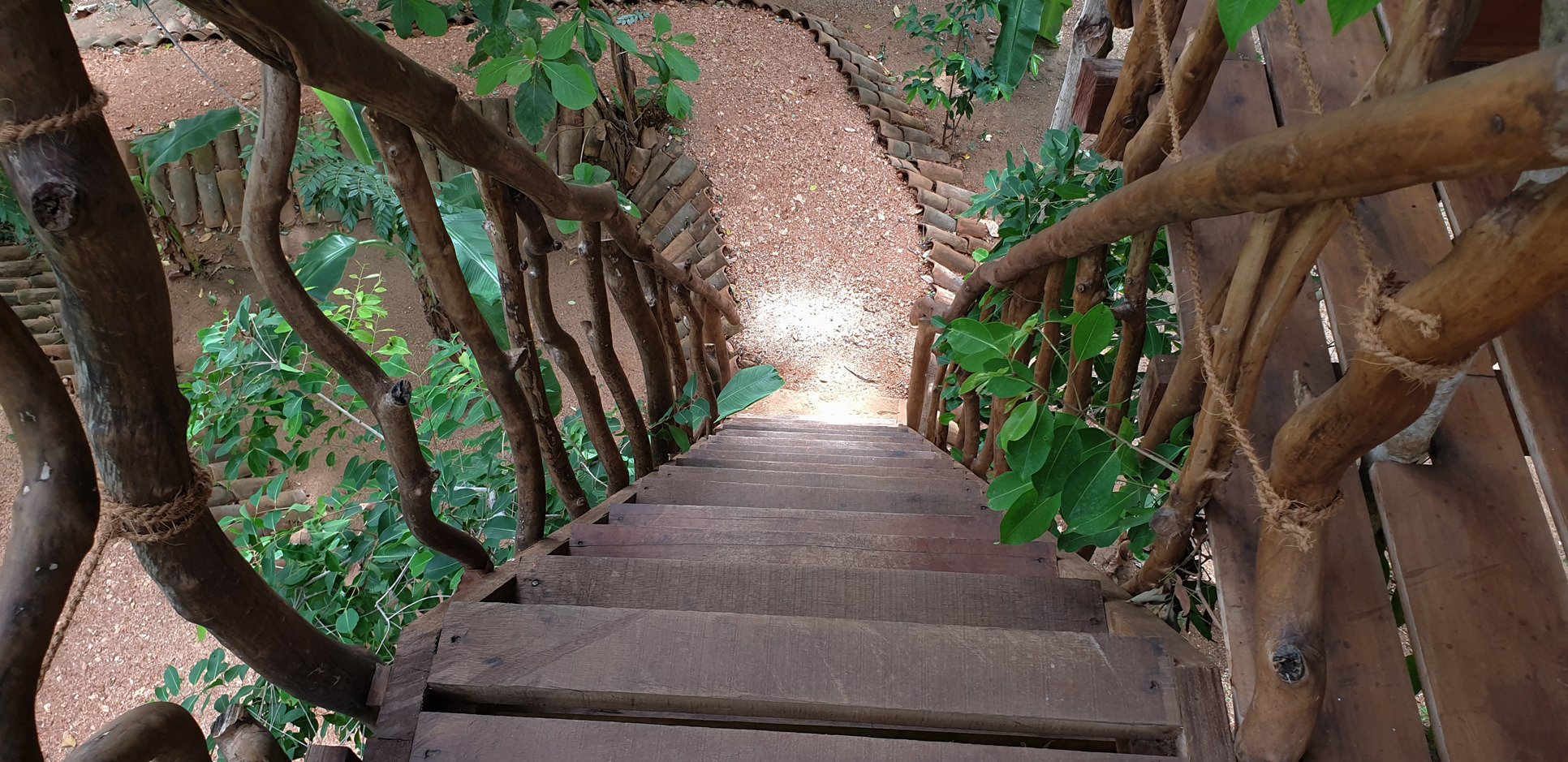 Ambasewana Resort-酒店景观