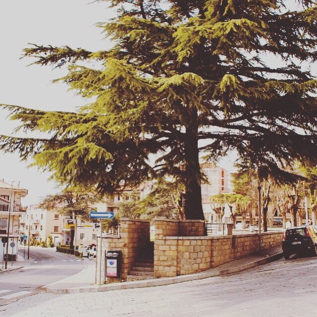 Piazza La Madonnina-Calangianus必去景点