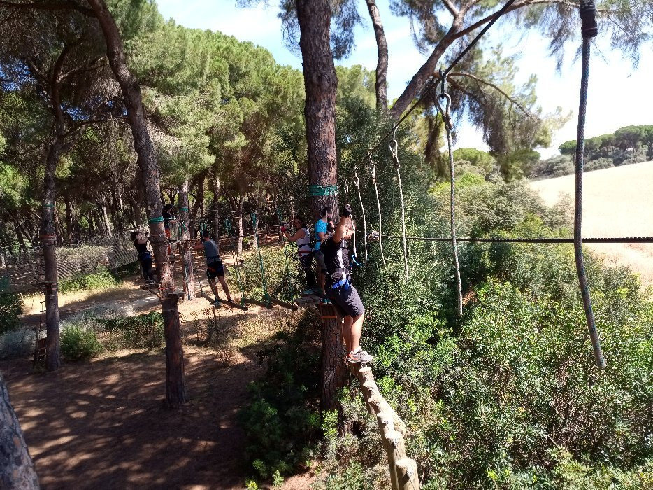 Bosque Suspendido景点图片