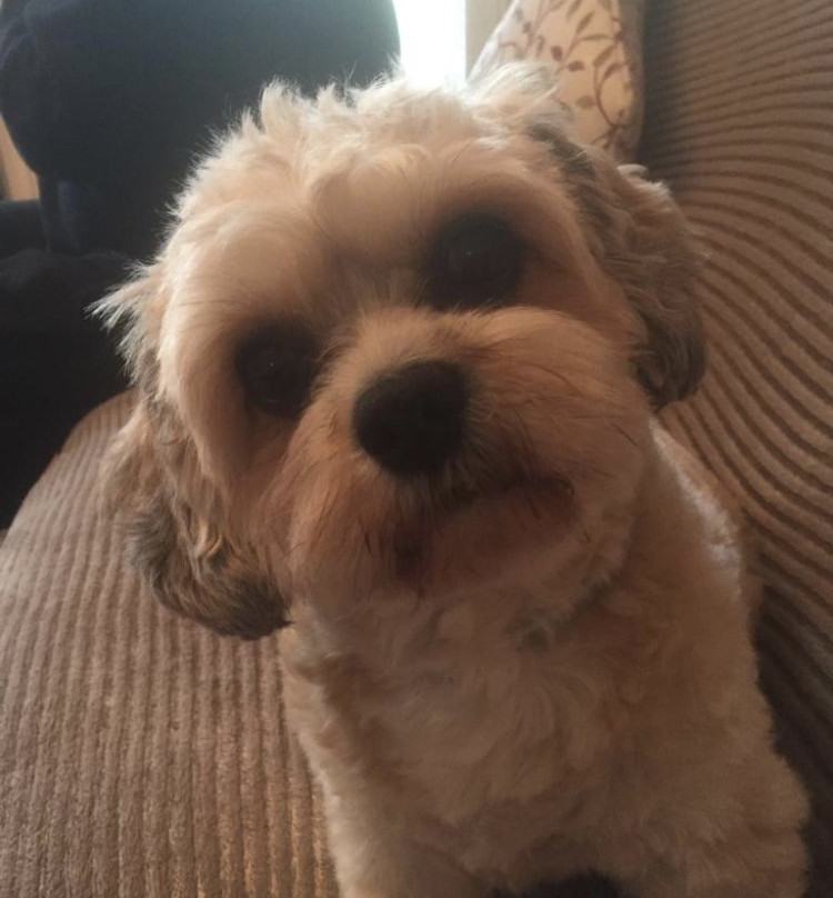 彭特利马术酒店主图