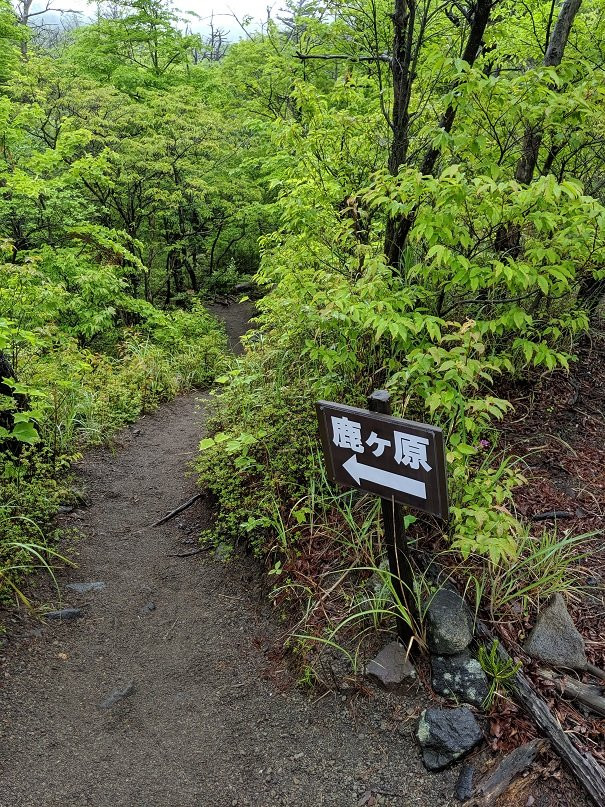 Tajachiho Dry Riverbed景点图片