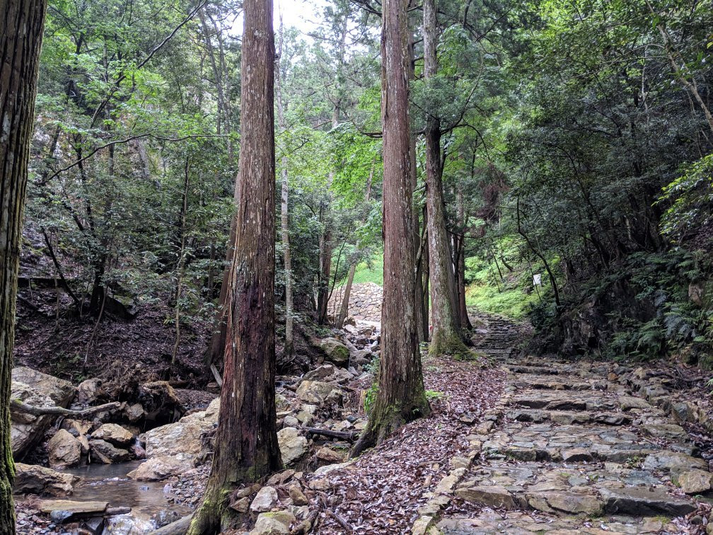 Ganryu-ji Temple-丹波市必去景点