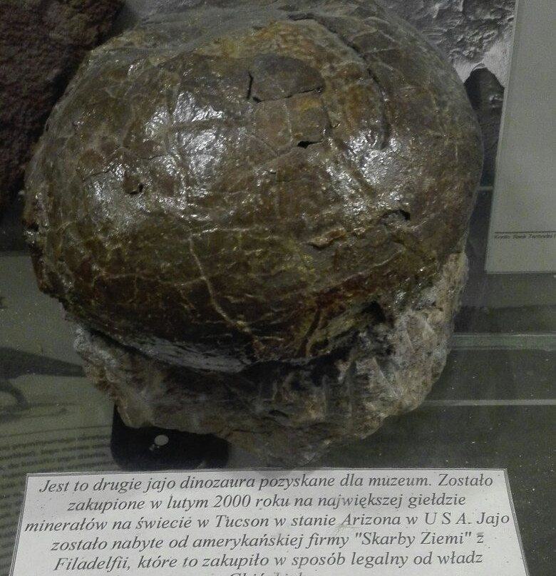 Mineralogical Museum景点图片