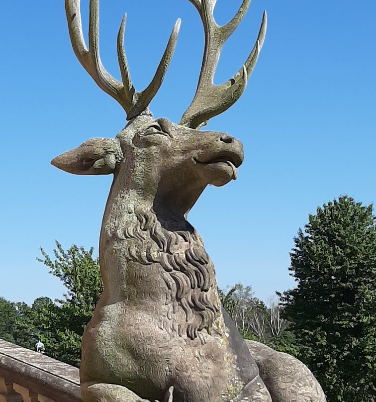 Waldschaenke Moritzburg Gmbh主图