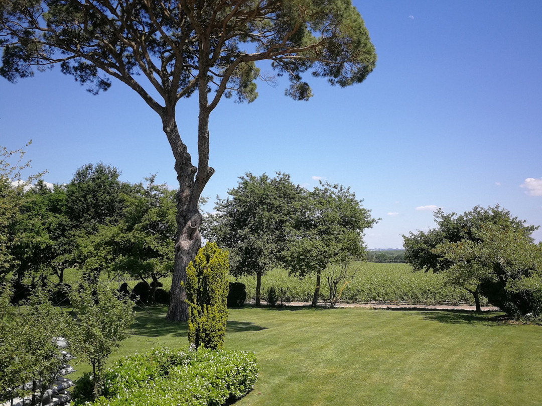 Chateau de Camensac-Saint-Laurent-Medoc必去景点