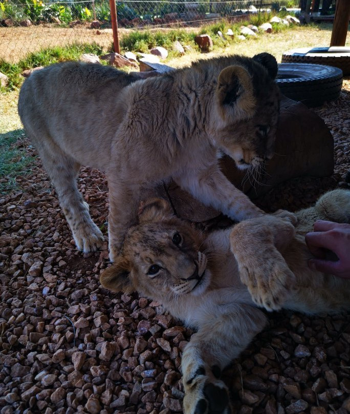 Rustenzicht Lodge and Wedding Venue主图