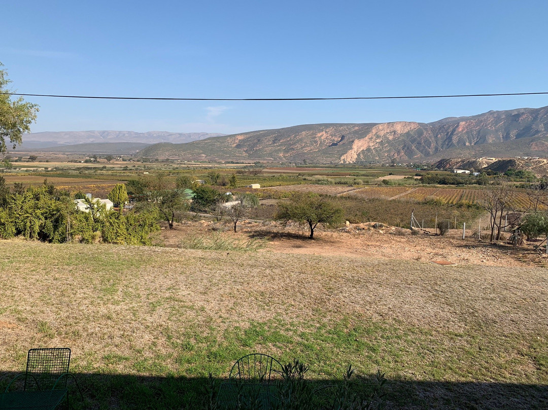 Calitzdorp Cellar-Calitzdorp必去景点