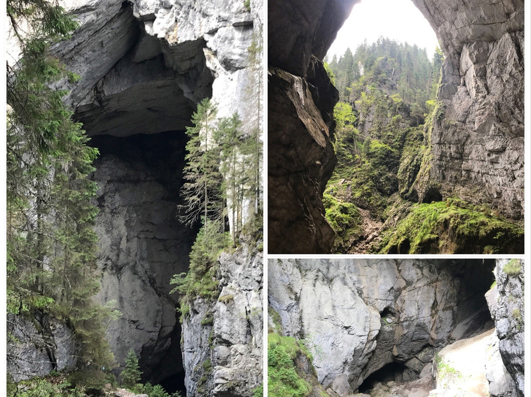 Apuseni Natural Park景点图片