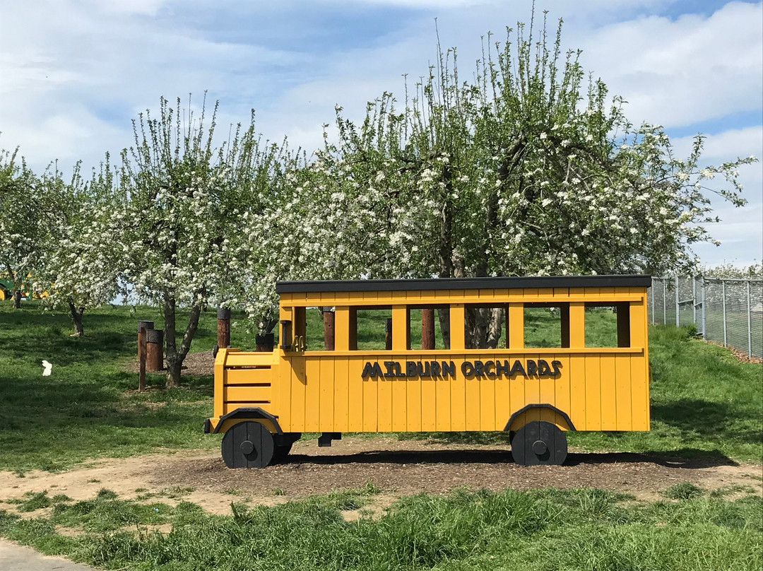 Milburn Orchards景点图片