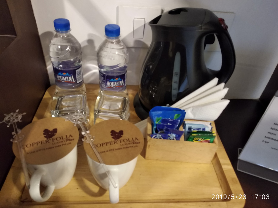 Hotel Copper Folia主图