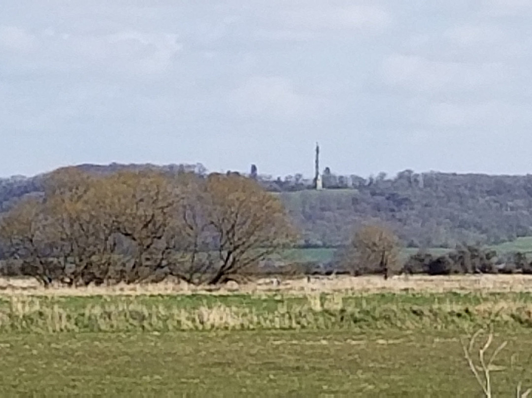 Somerset Levels and Moors景点图片