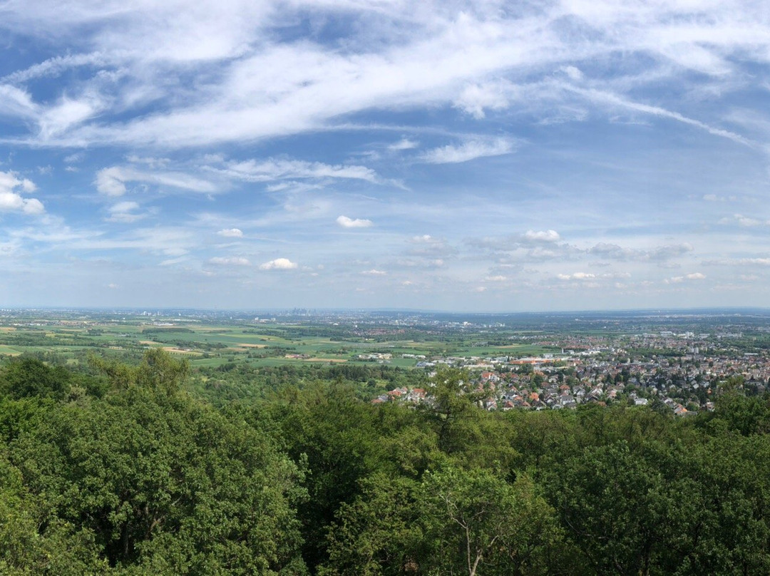 Hofheim am Taunus旅游攻略图片