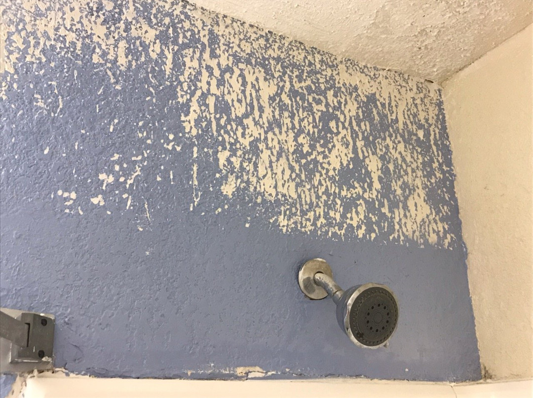 Super 8 by Wyndham New Castle主图