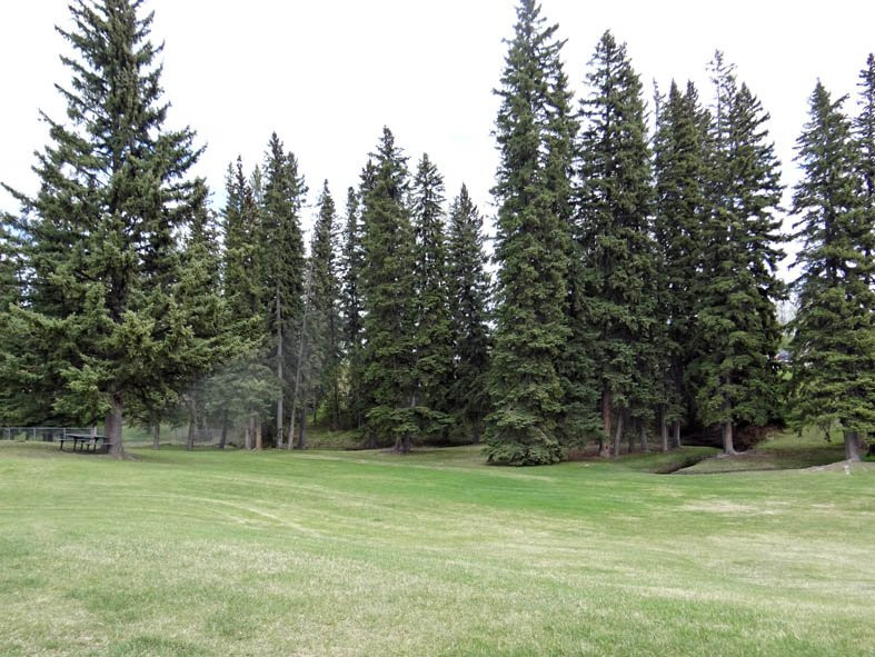 Kinsmen Spray Park-埃德森必去景点