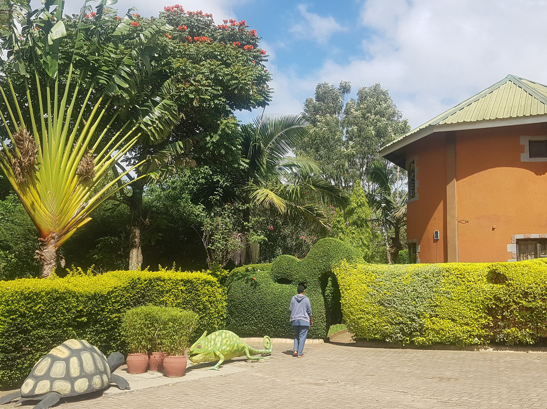 Sakina酒店住宿-Sheba Lodge