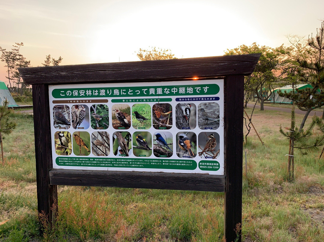 Umibenomori Campsite主图