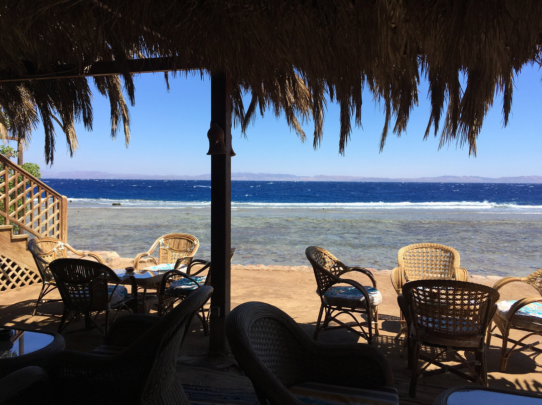 Acacia Dahab Hotel主图