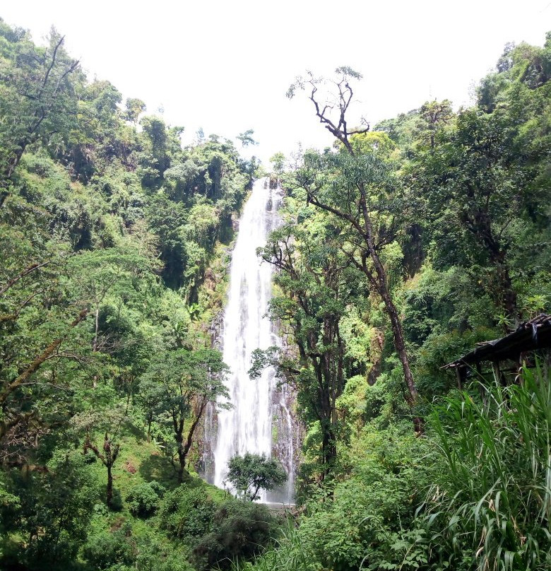 Materuni Waterfalls景点图片