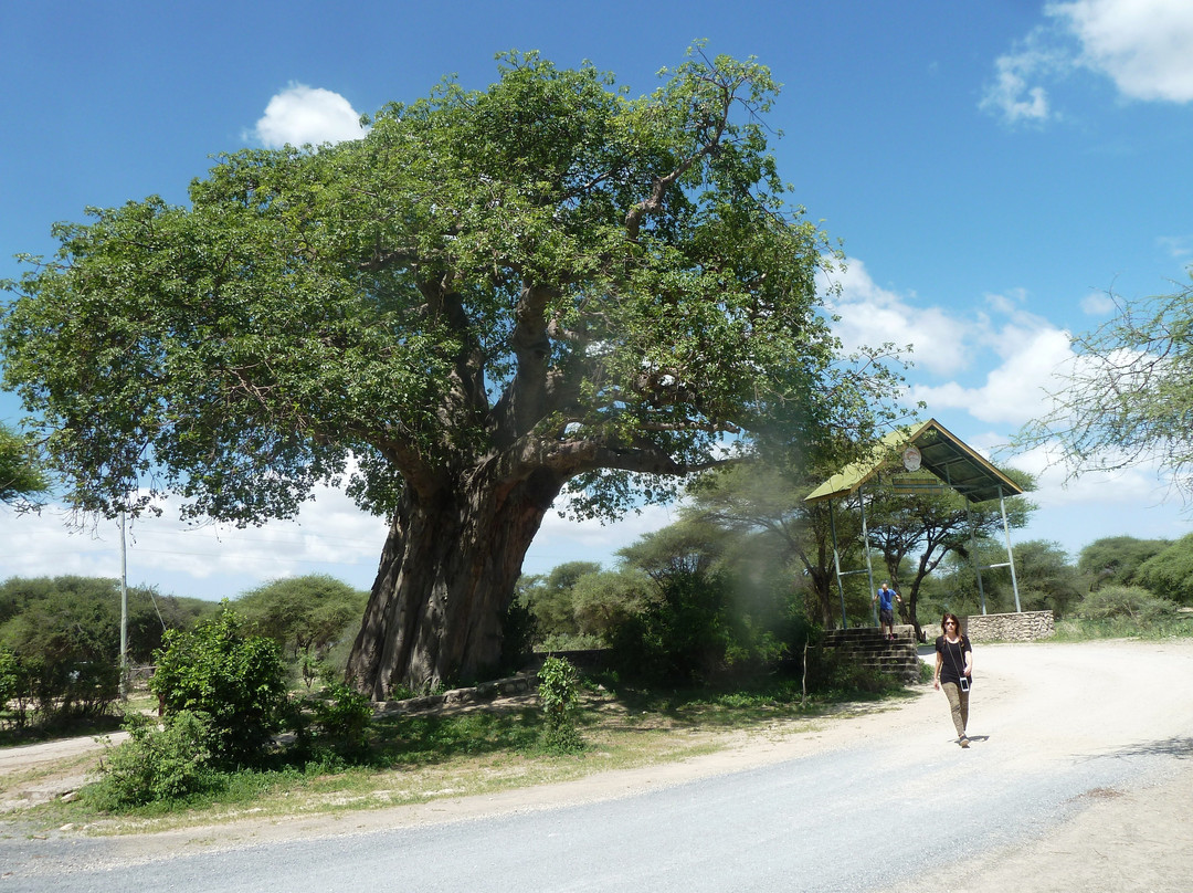 Katambuga Expedition-阿鲁沙必去景点