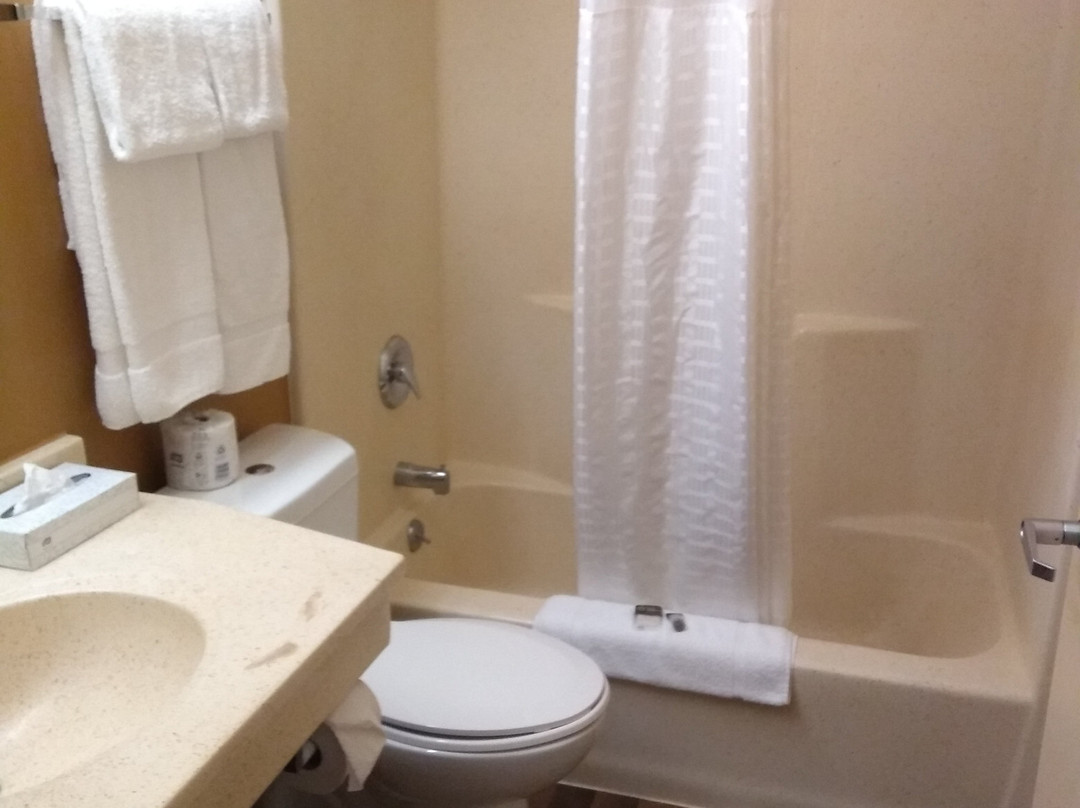 芝加哥美国长住酒店-艾塔斯卡主图