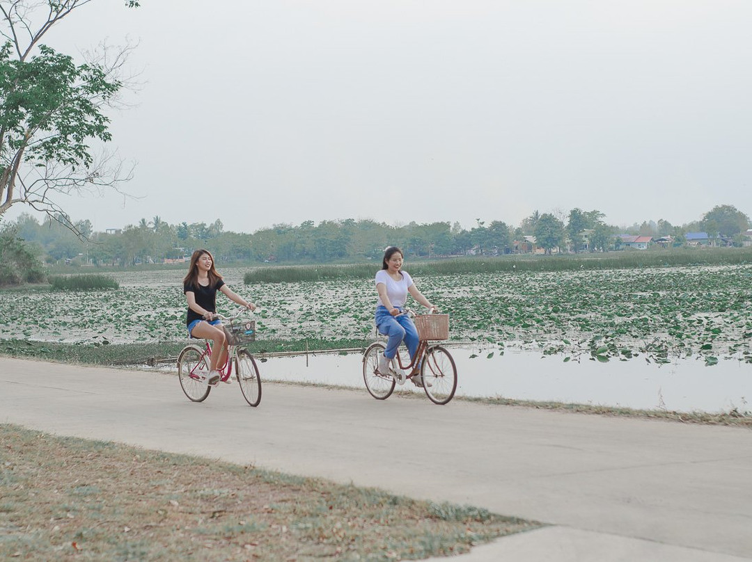 Bualinn Resort Nong Khai主图