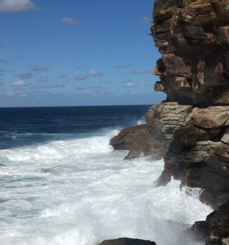 North Bondi Lookout景点图片