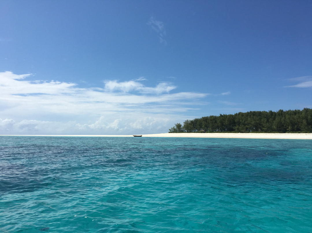 Nungwi Aquarium Adventures-孥归必去景点